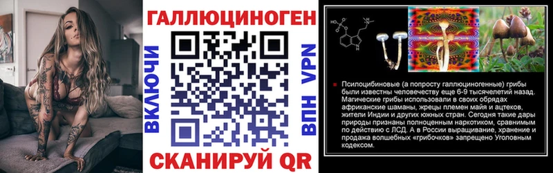 Купить где  Кукмор  Галлюциногенные грибы мицелий 
